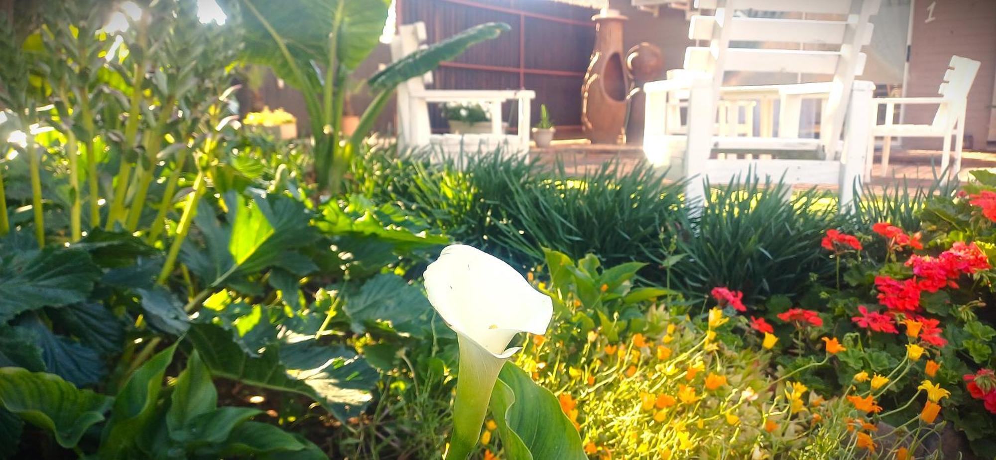 Ceelee'S Place 블룸폰테인 외부 사진